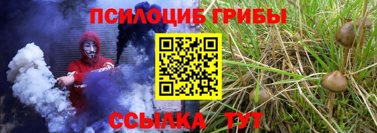 Псилоцибиновые грибы прущие грибы  Вход с VPN  Тайшет  сколько стоит  Псилоцибиновые грибы Psilocybe 